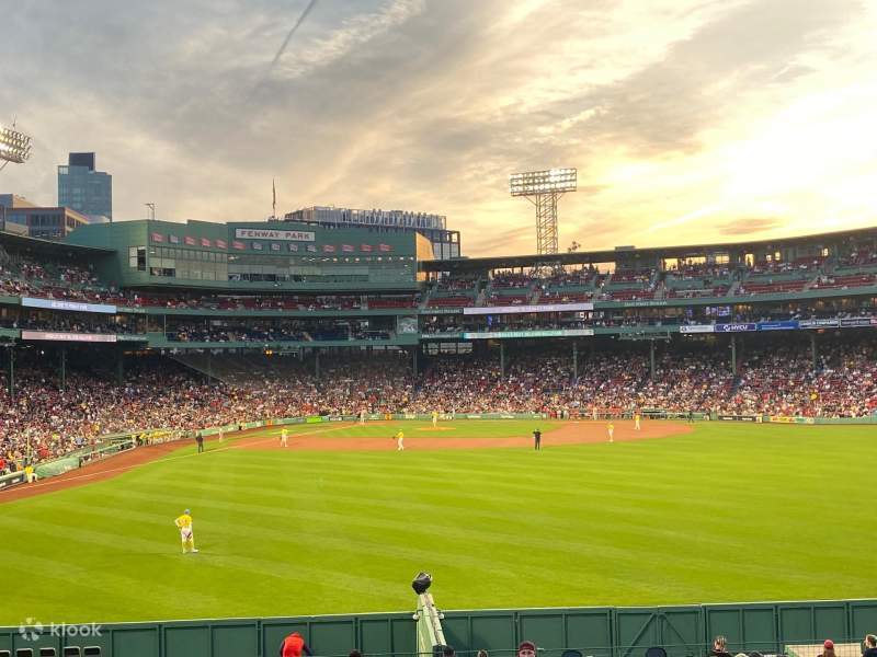 Fenway Park 限定版スタジアムレプリカ Amazon.co.jp: 3D 組み立て模型 メジャーリーグ ベースボール
